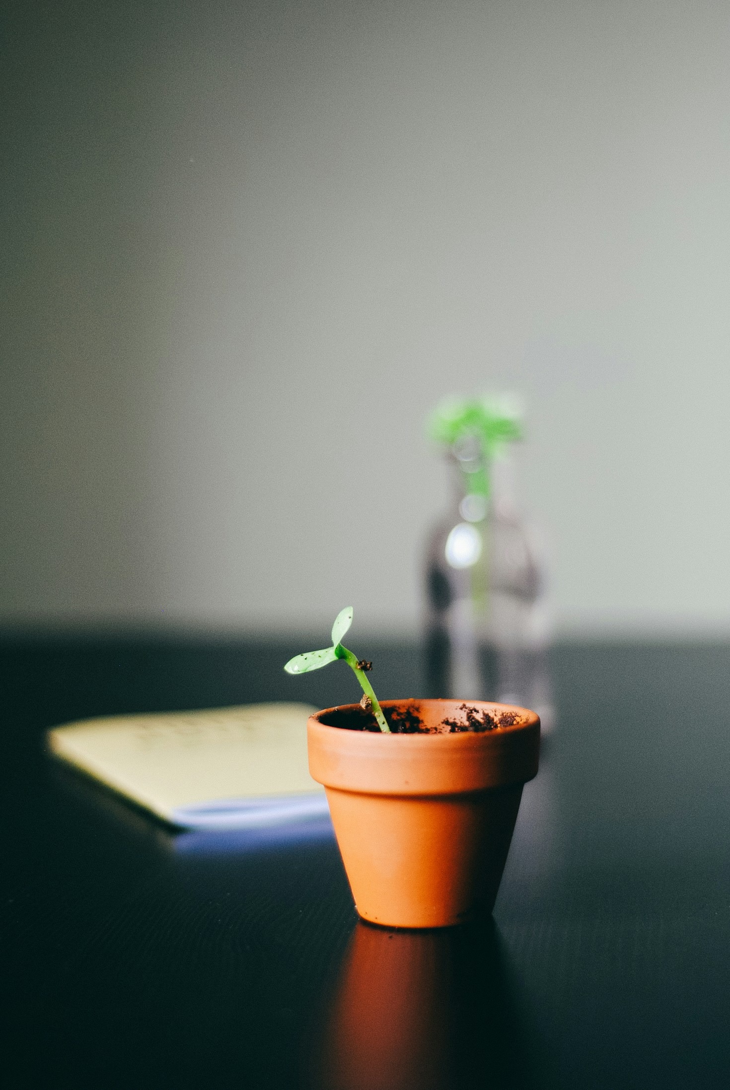 Dicas para Cultivar a Autoconsciência no Dia a Dia